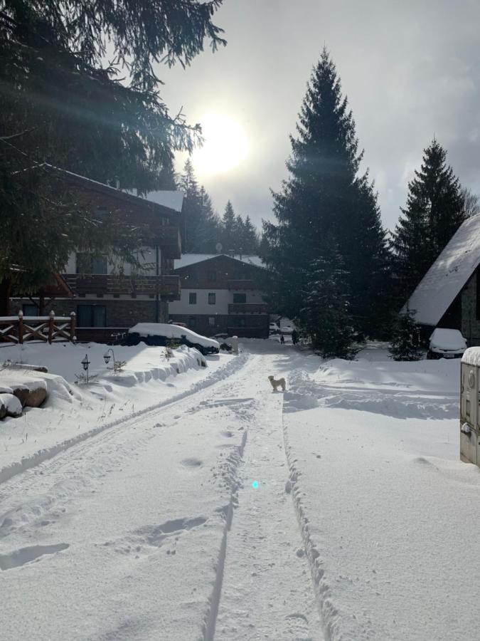 Lucnica Apartments Тале Екстериор снимка